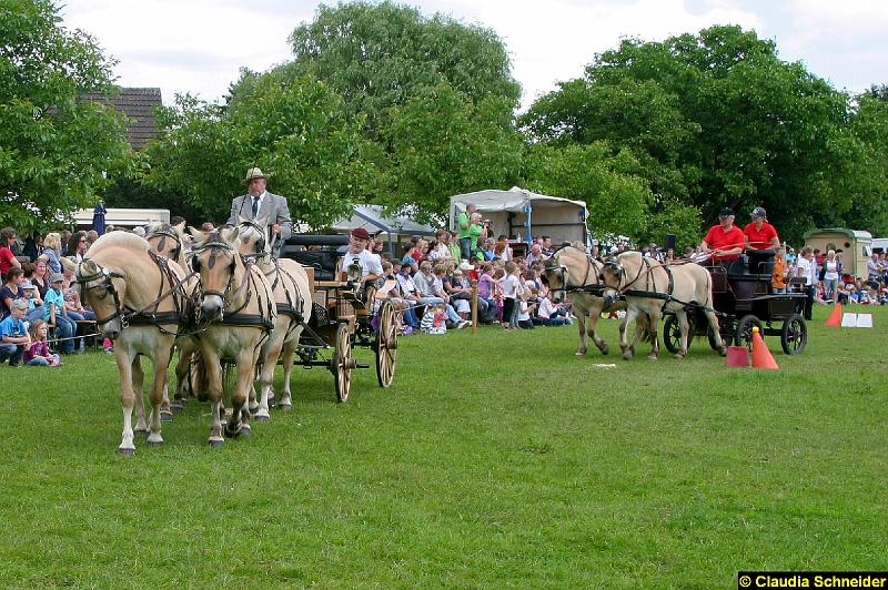 Ponytag Bosbach 2012-014.jpg